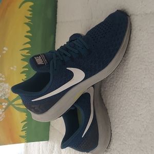 Nike Zoom Pegasus 35